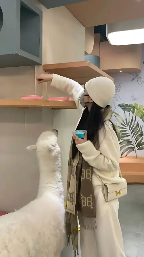 性过程三级视频视频_精品伊人久久久大香线蕉?_131美女爱做视频爽爽爽